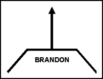 Figure 3-2. Attack-by-Fire Position BRANDON